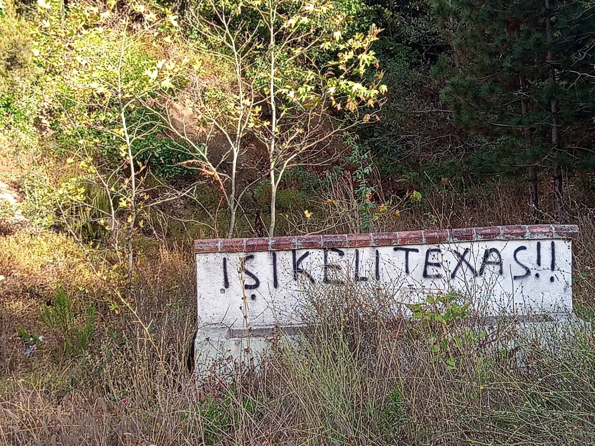 F B I M G 1789922339228