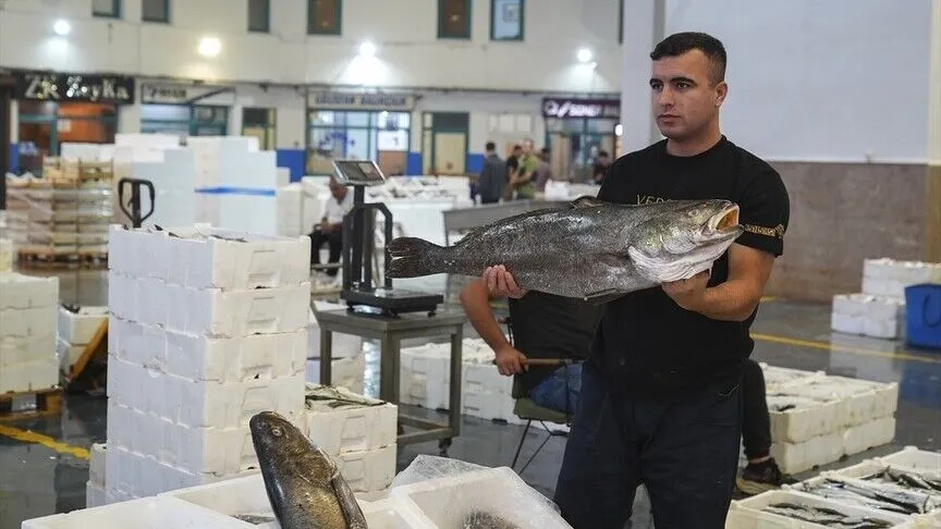 Ege'de balıkçılar "son 20 yılın en bereketli sezon başlangıcını" yaptı