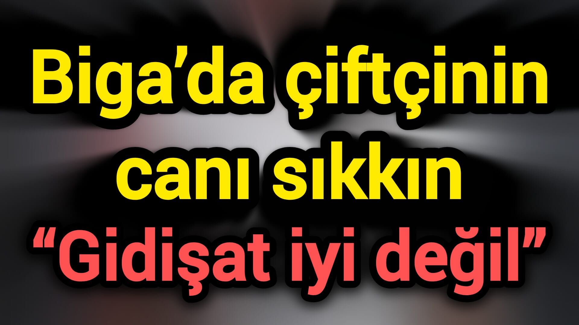 Biga’da çiftçinin canı sıkkın: “Gidişat iyi değil”