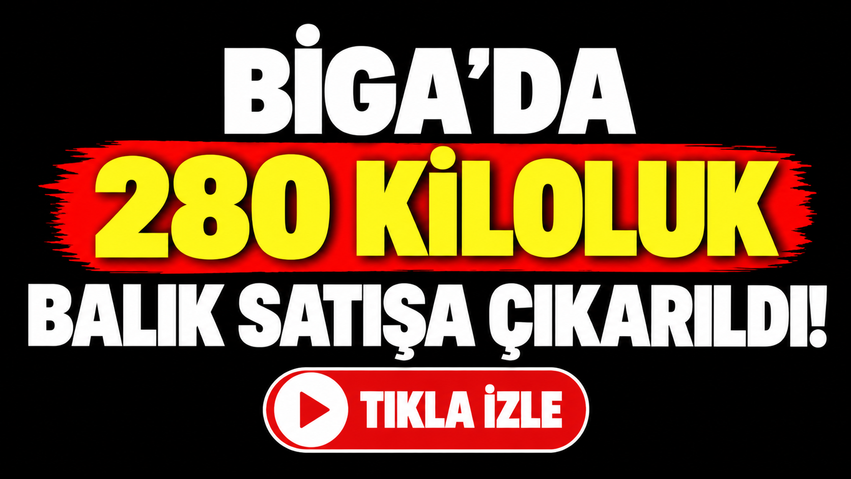 Biga’da 280 kiloluk balık satışa çıkarıldı!