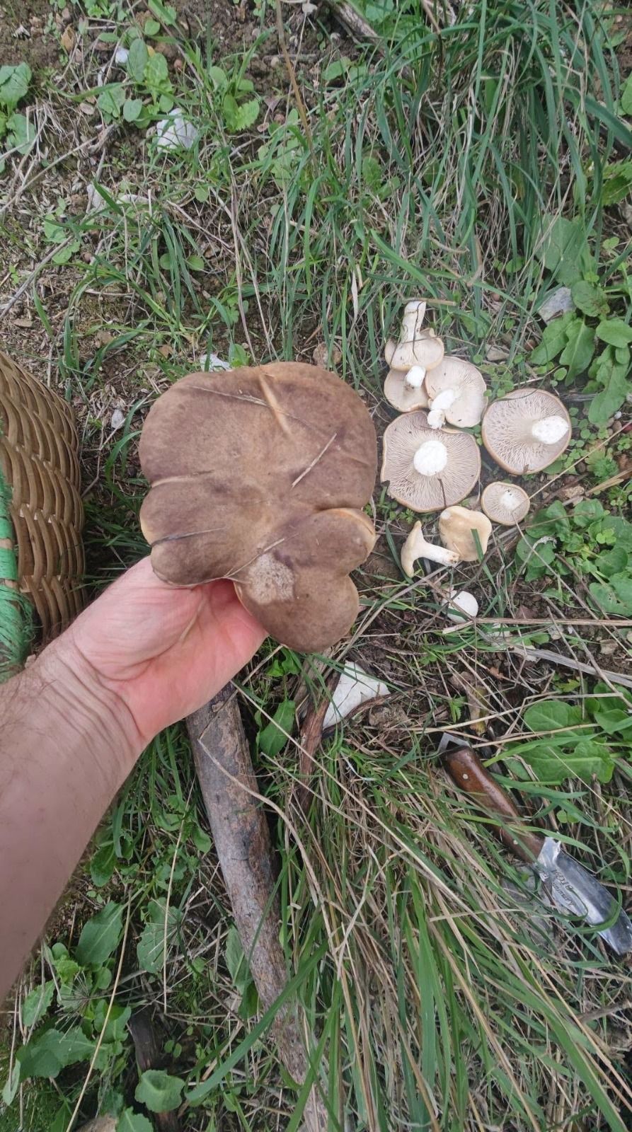 Bigalı Avcı Sırrı Verdi