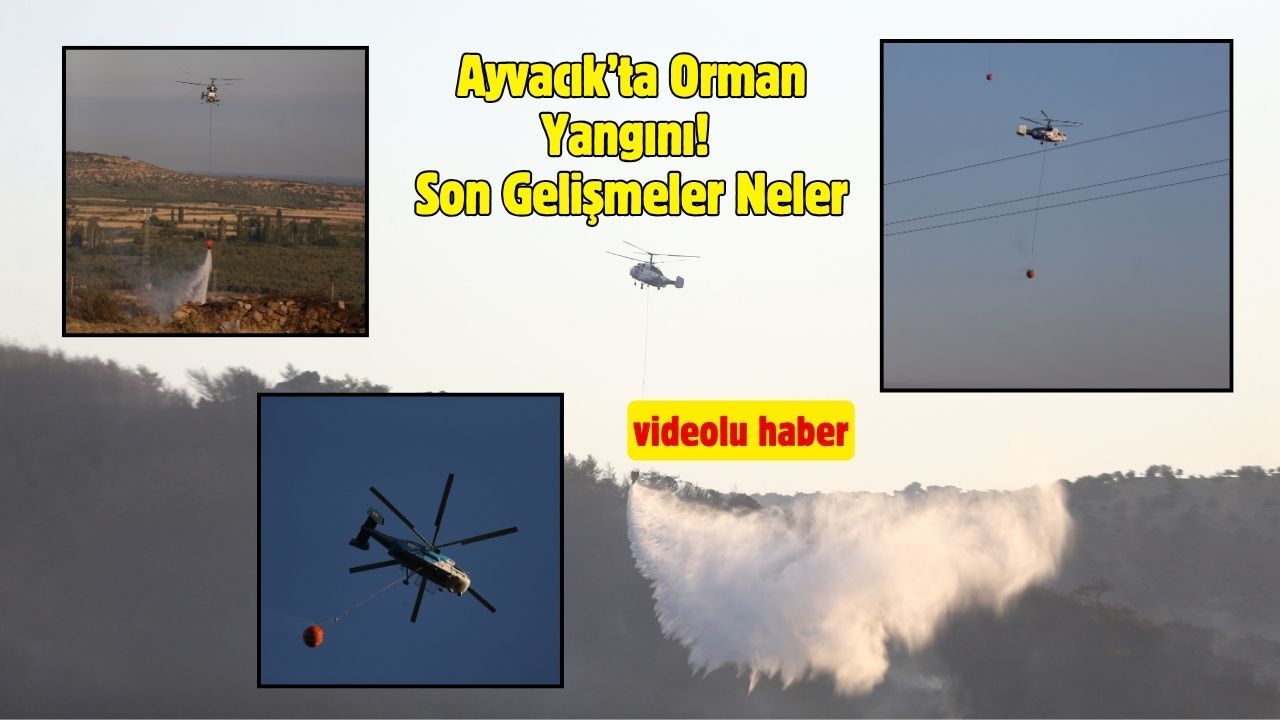 Ayvacık’ta Orman Yangını! Son Gelişmeler Neler?