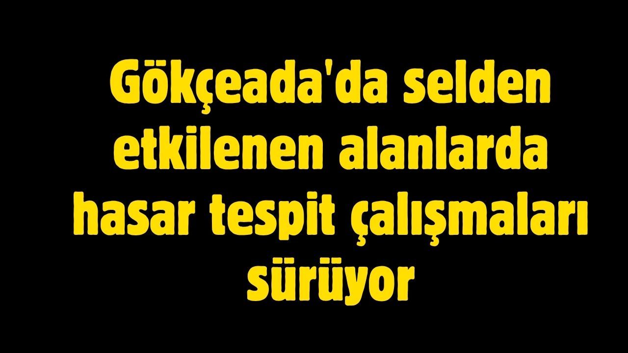 Gökçeada'da selden etkilenen alanlarda hasar tespit çalışmaları sürüyor