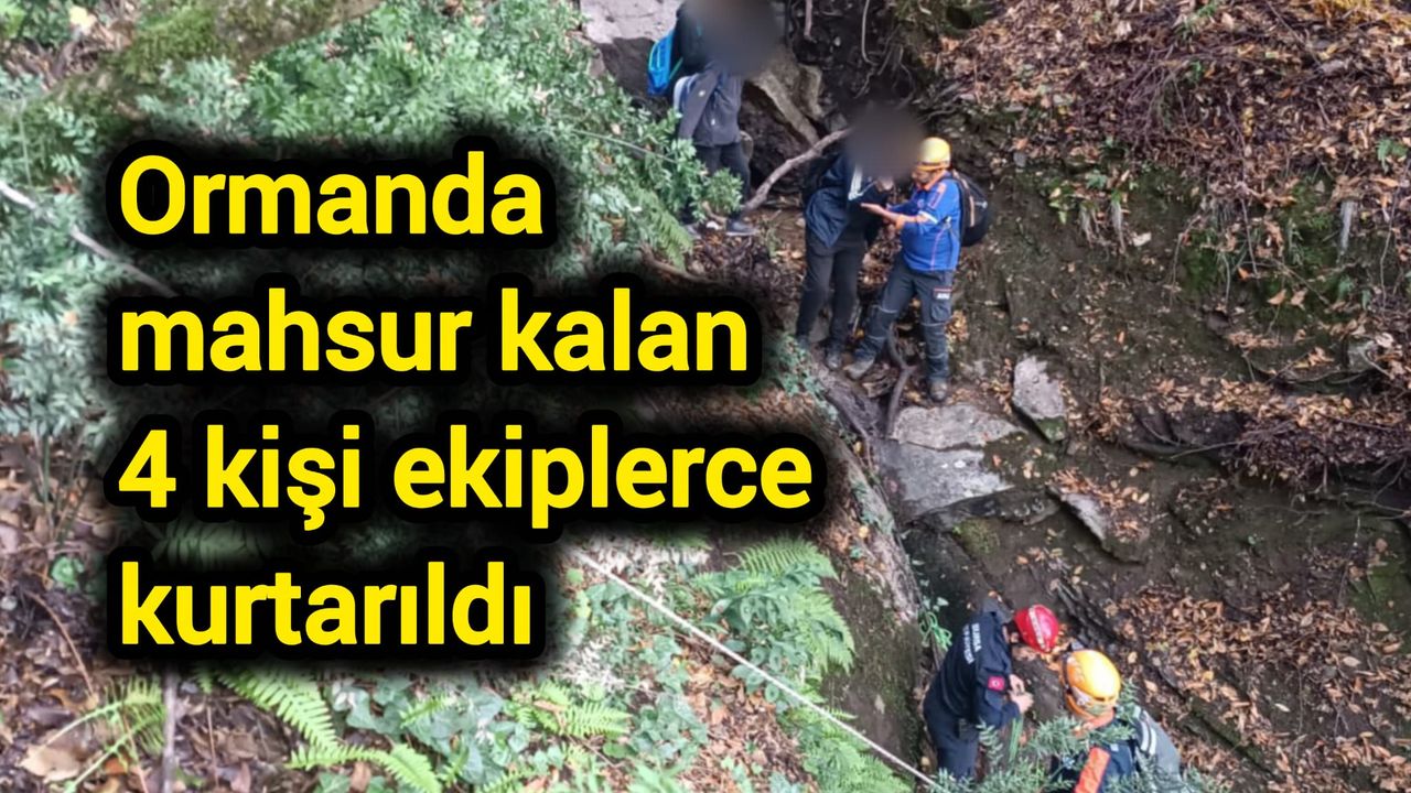 Ormanda mahsur kalan 4 kişi ekiplerce kurtarıldı