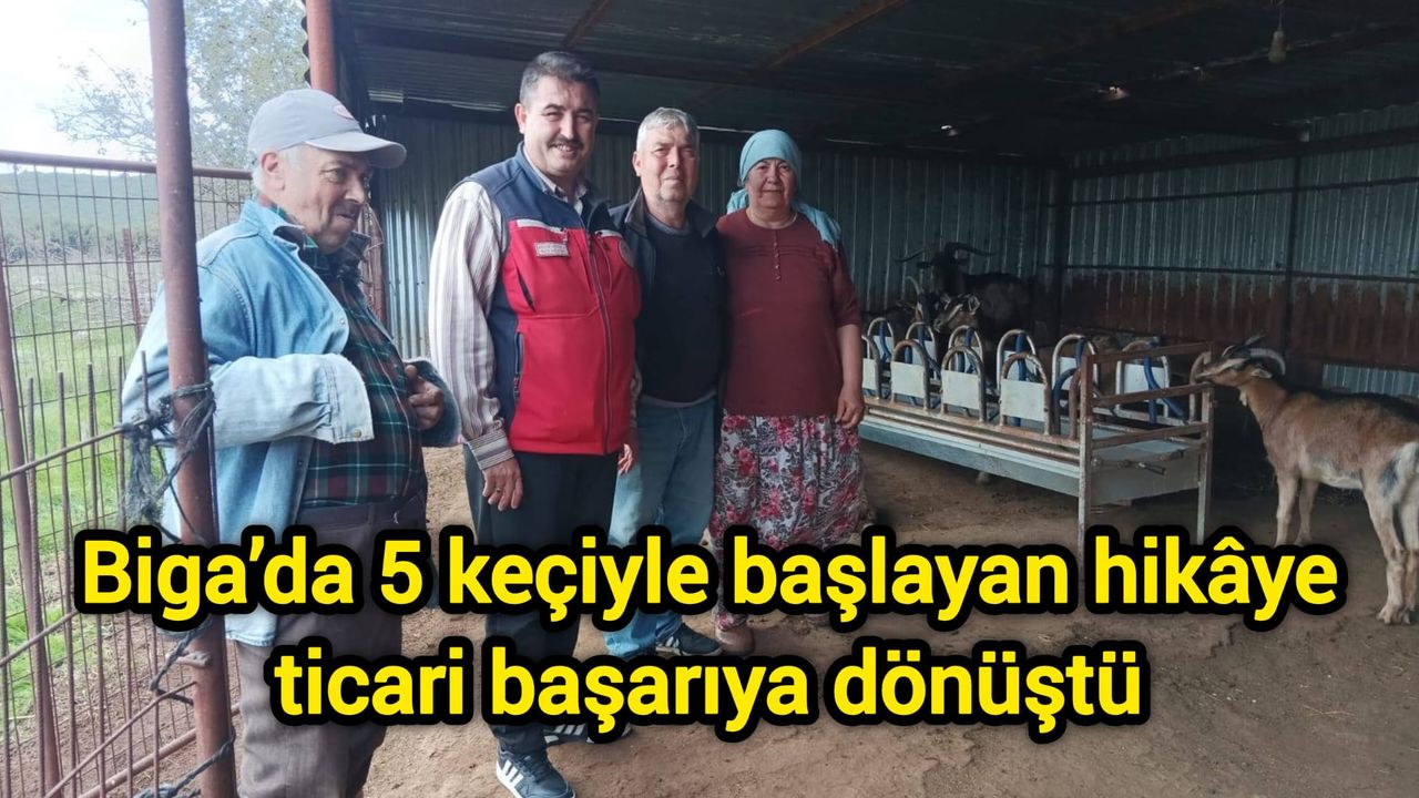 Çanakkale Biga’da 5 keçiyle başlayan hikâye ticari başarıya dönüştü