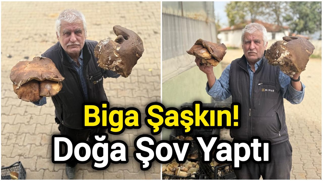 Biga Şaşkın! Doğa Şov Yaptı