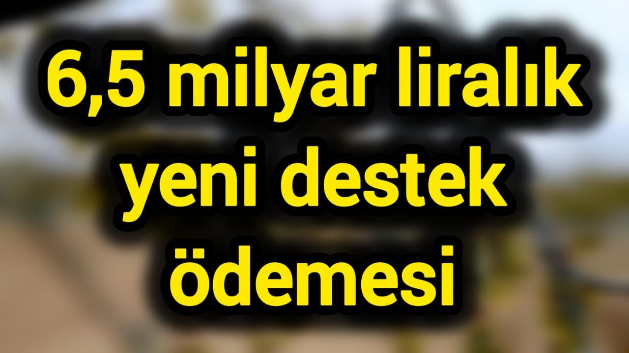 6,5 milyar liralık yeni destek ödemesi