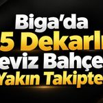 Biga’da 45 Dekarlık Ceviz Bahçesi Yakın Takipte!