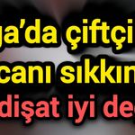 Biga’da çiftçinin canı sıkkın: “Gidişat iyi değil”