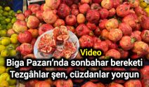 Biga Pazarı’nda sonbahar bereketi: Tezgâhlar şen, cüzdanlar yorgun