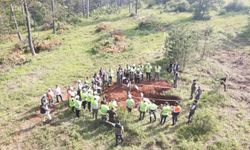 Çanakkale Orman Bölge Müdürlüğü'nden Silvikültür Tatbikatı