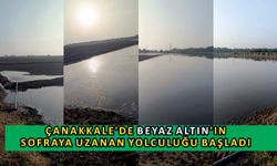 Çanakkale’de Beyaz Altın’ın sofraya uzanan yolculuğu başladı