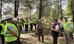 Çanakkale'de orman işletme şeflerine teorik ve uygulamalı eğitim...