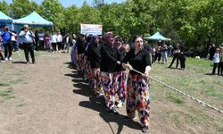 Çanakkale'de geleneksel piknik şenliği yapıldı...