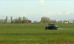 Çiftçilere Müjde: Tarımsal destekleme ödemesi yapılacak
