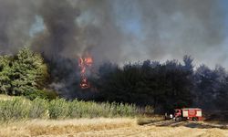 Bakan Yumaklı’dan Çanakkale yangını açıklaması