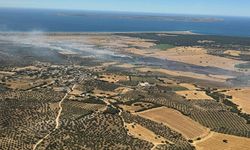 Çanakkale'de tarım arazisinden orman alanına sıçrayan yangın kontrol altına alındı