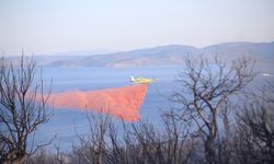 Ayvacık'ın Behram köyünde çıkan yangına müdahale ediliyor