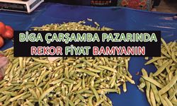 Biga Çarşamba pazarında rekor fiyat bamyanın