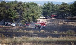 Çanakkale’deki yangın kontrol altına alındı ! Yangın neden çıktı