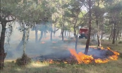 Çanakkale'de ormanlık alanda çıkan yangına müdahale ediliyor