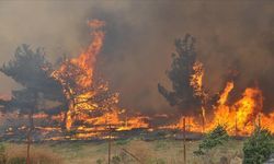 Çanakkale Valiliğinden orman yangınları uyarısı