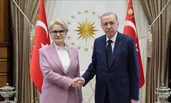 Cumhurbaşkanı Erdoğan, eski İYİ Parti Genel Başkanı Akşener'i kabul etti