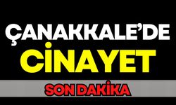 Çanakkale'de Cinayet: Damat önüne geleni bıçakladı!