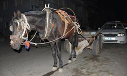 Trafikte alkollü at arabası kullanan kişiye para cezası