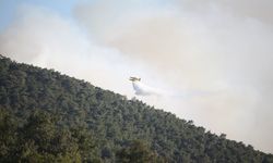 Çanakkale'de tarım arazisinde çıkıp ormanlık alana sıçrayan yangın kısmen kontrol altına alındı