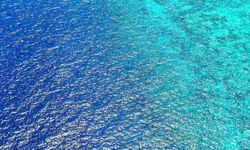 Çanakkale’de deniz suyu sıcaklıkları nasıl?