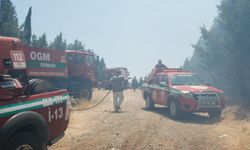 Çanakkale’de çıkan orman yangınına müdahale ediliyor