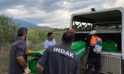 Kaybolan kişi, meyve bahçesinde ölü bulundu