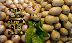 Biga’da patates aşka geldi, kalbe büründü