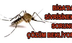 Biga'da Sivrisinek Sorunu Çözüm Bekliyor