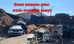 Orman yangınına giden arazöz otomobille çarpıştı