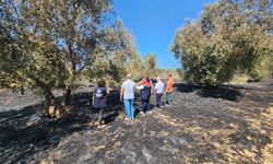 Çanakkale'de 700 hektarlık yangın felaketi: Tarım arazileri inceleme altında