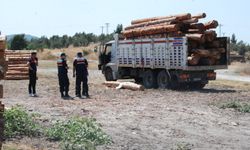 Çanakkale'de üzerine tomruk düşen sürücü hayatını kaybetti!