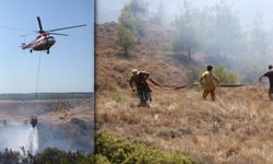 Çanakkale’de çıkan yangında son durum…