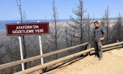 Çanakkale'de yangından etkilenen tarihi topraklar, yeniden yeşerecek