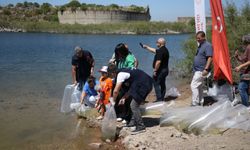 Çanakkale'deki baraj ve göletlere 100 binlerce sazan yavrusu bırakıldı