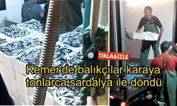 Çanakkale Biga’da balıkçılar karaya tonlarca sardalya ile döndü