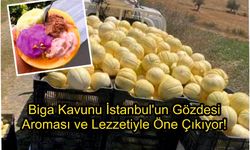 Biga Kavunu İstanbul’un Gözdesi: Aroması ve Lezzetiyle Öne Çıkıyor!