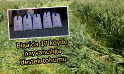 Çanakkale Biga’da 17 köyde hayvancılığa destek tohumu