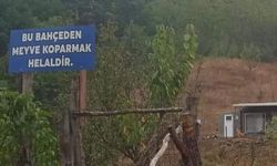 Çanakkale Biga’da Helal Meyve Bahçesi