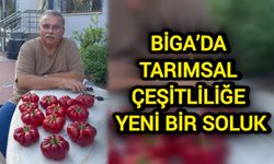 Çanakkale Biga’da tarımsal çeşitliliğe yeni bir soluk