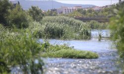 ÇOMÜ’lü Akademisyenden Uyarı!