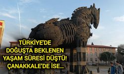 Türkiye'de Doğuşta Beklenen Yaşam Süresi Düştü! Çanakkale’de ise…