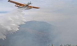 Çanakkale'nin komşu ilinde çıkan yangın söndürüldü