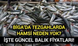 Çanakkale Biga’da tezgahlarda hamsi neden yok?